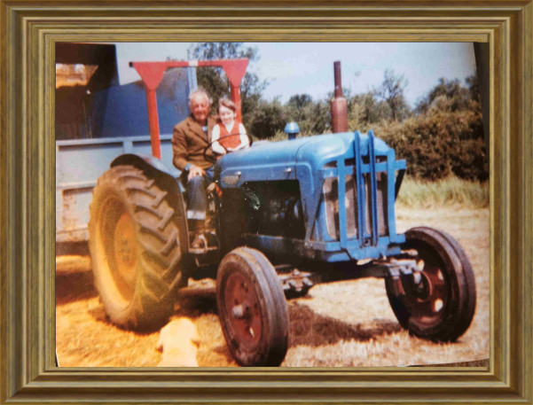 Grampy on old blue tractor, All About Jess's Ladies Organic Farm