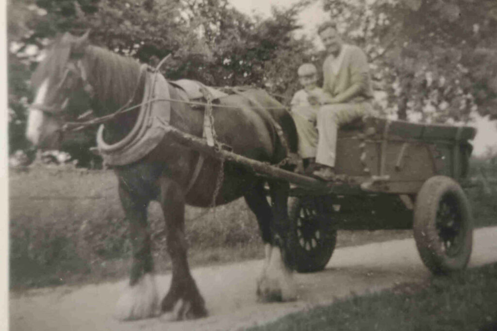 Grampy John Vaughan and Mike on horse and cart 1957
